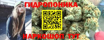 ECSTASY Кулебаки