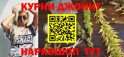 мяу мяу мука Кунгур