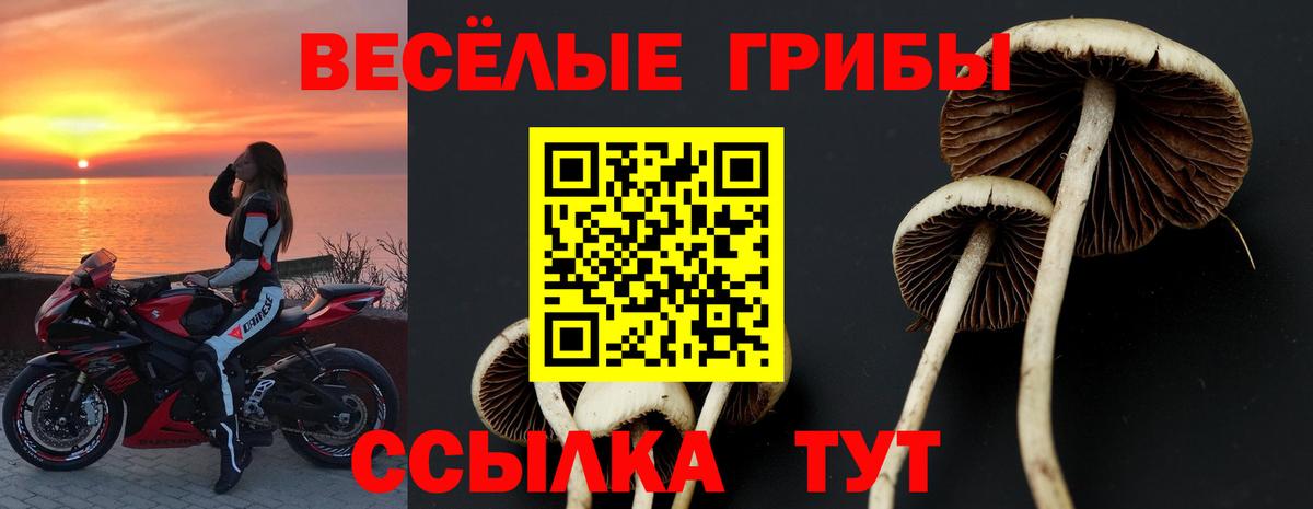 Кандалакша  Псилоцибиновые грибы GOLDEN TEACHER  Вход с VPN 